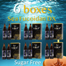 将图片加载到图库查看器,worldpeace Inc. Sea Fucoidan DX - 优质海藻提取物 (900ml x 2 瓶)