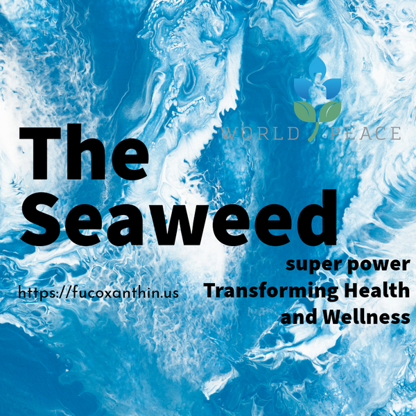 Fucoidan: The Seaweed Superpower Transforming Health and Wellness