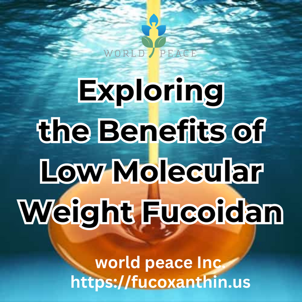 Exploring the Benefits of Low Molecular Weight Fucoidan