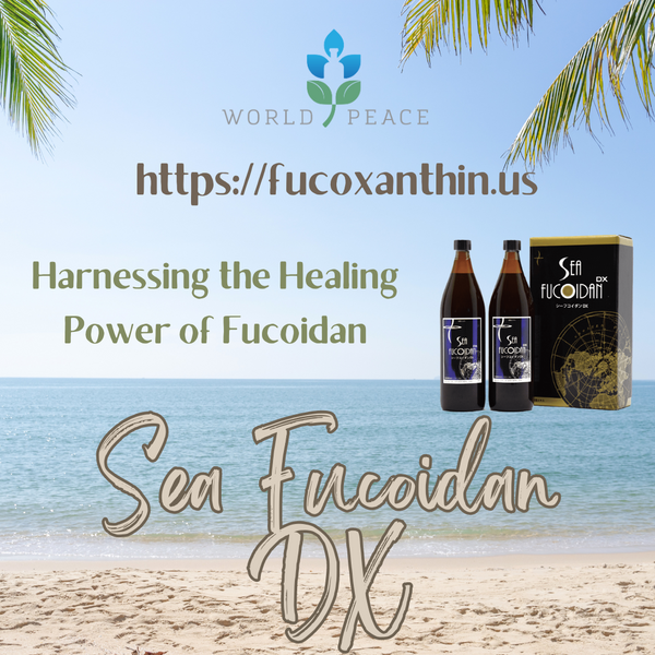 Harnessing the Healing Power of Fucoidan: A Guide to Natural Wellness with World Peace Inc.