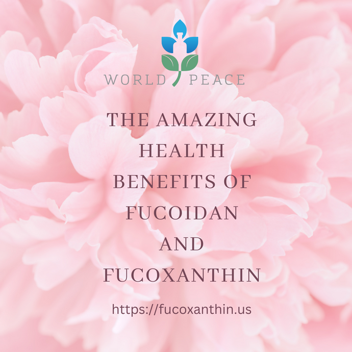 The Amazing Health Benefits of Fucoidan and Fucoxanthin: Trusting World Peace Inc. for Quality Products