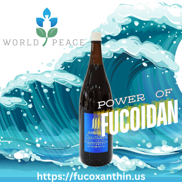 Unlocking the Secrets of Fucoidan: Nature's Hidden Gem for Optimal Health