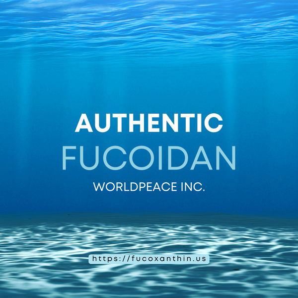 Fucoidan: The Ocean's Gift for Your Health and Wellness