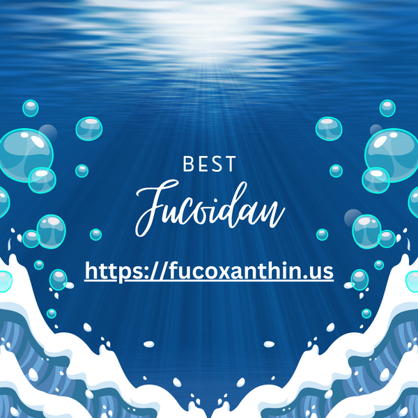 What is Fucoidan?