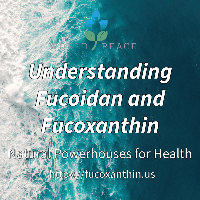 Understanding Fucoidan and Fucoxanthin: Natural Powerhouses for Health