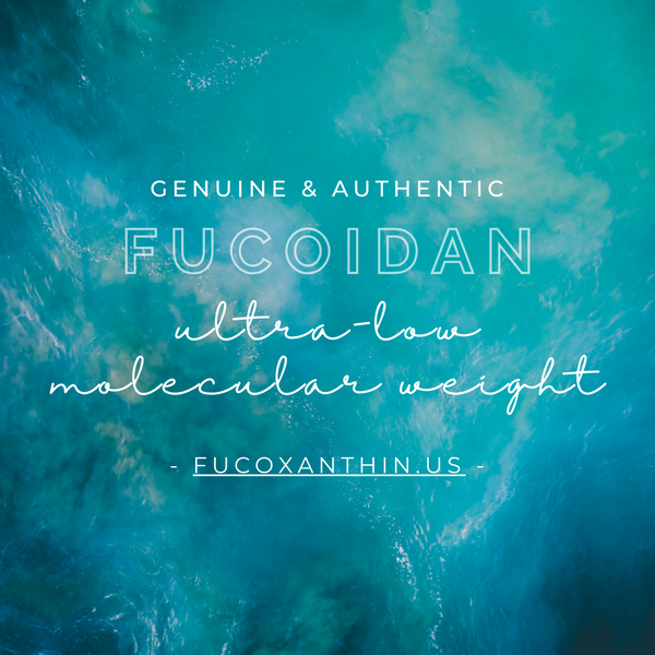 About Fucoidan