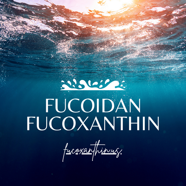 Fucoidan & Fucoxanthin