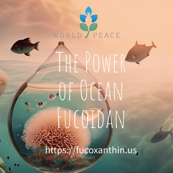 Trust in the Best: Discover Authentic Fucoidan and Fucoxanthin from World Peace Inc.