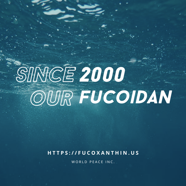 Experience Premium Health with Our Fucoidan: A Worthwhile Investment