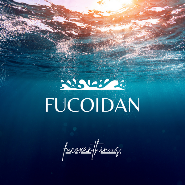 Embrace Nature's Healing Power with Fucoidan: Your Pathway to Wellness