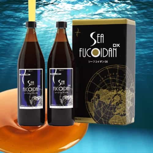 world peace Inc. Sea Fucoidan DX - シーフコイダンDX 900ml x 2本 - 株式会社ワールドピースのフコイダン