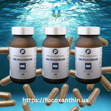 Tải hình ảnh vào trình xem Thư viện, [Free Shipping] NK-FUCOIDAN – Organic, Gluten free, 100% Seaweed extraction, Vegan, Vegetarian, High Molecular Weight Fucoidan Capsules 高分子 [ フコイダン カプセル]