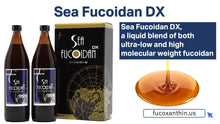 Load image into Gallery viewer, world peace Inc. Sea Fucoidan DX - シーフコイダンDX 900ml x 2本 - 株式会社ワールドピースのフコイダン