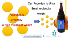 Load image into Gallery viewer, [Free Shipping] Amino Fucoidan Long &amp; Best Seller Ultra Low Molecular Weight Fucoidan Beverage