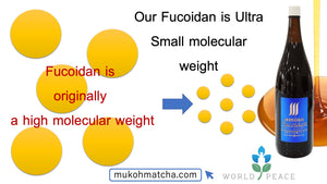 Fucoidan trọng lượng phân tử cực thấp lâu đời và bán chạy nhất 